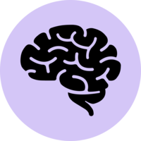 neuroImagingData